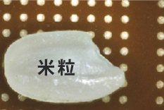 Ø280μmピッチ650μm|素材:ポリイミド+接着剤+カバーテープ ・無給油加工の画像 Ø280μmピッチ650μm|素材:ポリイミド+接着剤+カバーテープ ・無給油加工の画像