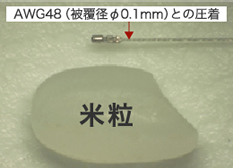 微細プレス加工の大きさ比較1｜AWG48（被覆径φ0.1mm）との圧着の画像